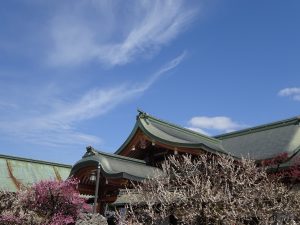 第14回歴史回廊らくたび散歩「梅薫る北野天満宮から京都の北を守る船岡山界隈へ」を開催
