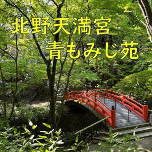新入生限定「青もみじ苑＠北野天満宮」を開催しました！