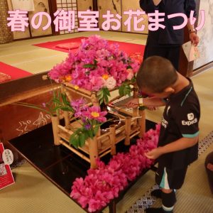 「春の御室お花まつり」が開催されました！