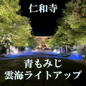 立命館大学生対象「仁和寺青もみじ雲海ライトアップ」を開催しました！