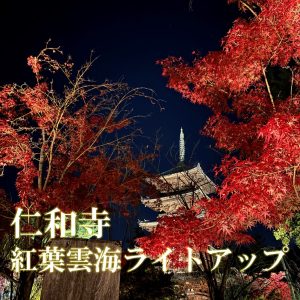 立命館大学生対象「仁和寺 紅葉 雲海ライトアップ」を開催しました！
