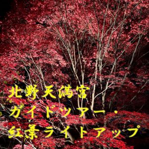「北野天満宮　ガイドツアー・紅葉ライトアップ」を開催しました！
